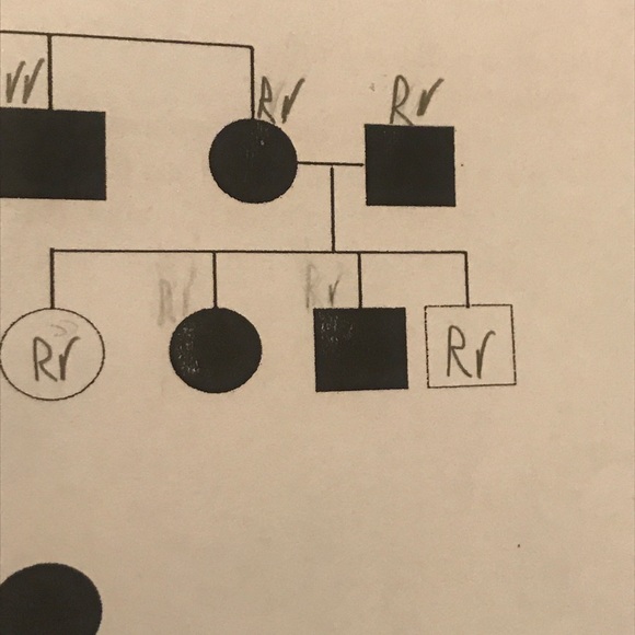 Meet your Posher, Kristen - Picture 1 of 1